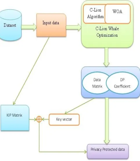 Fig. 1. Block diagram of proposed privacy protection technique based on CLWO Algorithm  