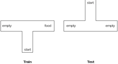 Figure 1. Mazes for a place-learning experiment