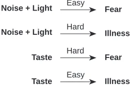 Figure 3. The potential associations in the Garcia andKoelling experiment.
