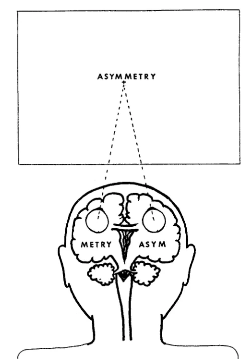 Fig. 1. In the absence of a nasotemporal overlap along the vertical midline, due to the crossing of nasal nerve fibres in the optic chiasma, stimuli left of fixation are projected to the right cerebral hemisphere and stimuli right of fixation to the left c