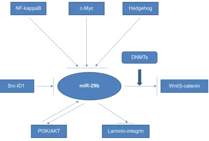 Figure 2 interaction of the miR-29b with cellular pathways.Abbreviations: NF-kappaB, nuclear factor kappa-light-chain-enhancer of activated B cells; c-Myc, a regulator gene that codes for a transcription factor; Src, a family of non-receptor protein tyrosine kinases; iD1, DNA binding/differentiation 1; miR-29b, micro-ribonucleic acid-29b; DNMTs, deoxyribonucleic acid transferases; wnt, a group of secreted signaling molecules that mediate a variety of cellular processes; AKT, protein kinase B; Pi3, a kinase.