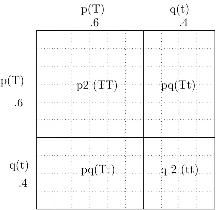 Figure B.1: Genotypic frequencies generated under conditions of random mating for twoalleles, T and t