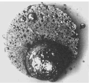 Fig. 1 eutectic silicon added as silica, 1000°C, 100h, carbon monoxide atmosphere Nominal composition Low melting point palladium-silicon on the surface of a palladium sample