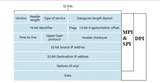 Fig. 1. Domain of Traditional Packet Forwarding and DPI 