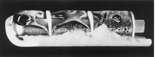 Fig. 8 point. The crucible was broken after the measurement the melted platinum could body were damaged during temperature heating or cooling from room after melting