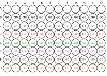 Table S1 experimental and control groups