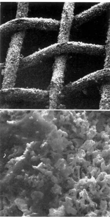 Fig. 5 in AII inactive puuze after a f h  (lays installed a nitric mid plant showing the rrbsence of octcrgonul crystal ,faces 
