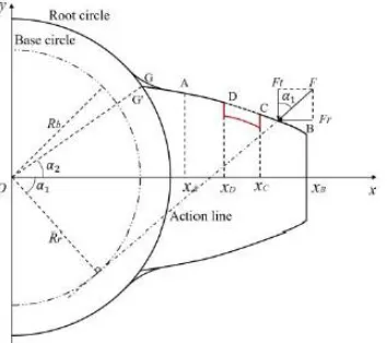 Fig. 3 The cross section of gear tooth [6] Gear tooth is divided into three segments ie AD, DC and 