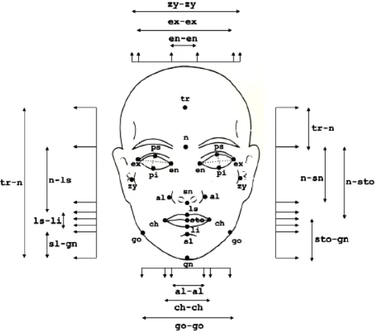 Fig. 1: Cranio-facial dimensions of human.[10] 