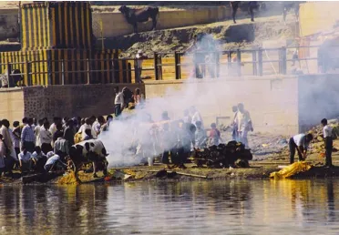 Figure 8. Image showing the air pollution caused due to burning of dead bodies along the bank of river Ganges13 