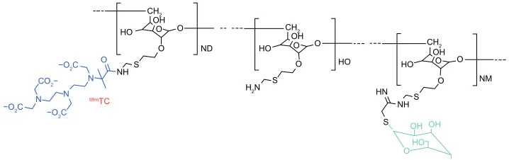 Figure 1 99mTc-tilmanosept molecule.Abbreviation: 99mTc, 99mtechnetium.