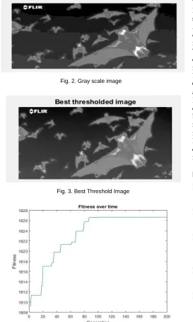 Fig. 2. Gray scale image 