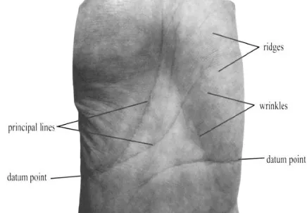 Figure 1: Different features from same palmprint image 