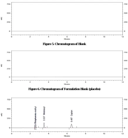 Figure 5. Chromatogram of Blank 