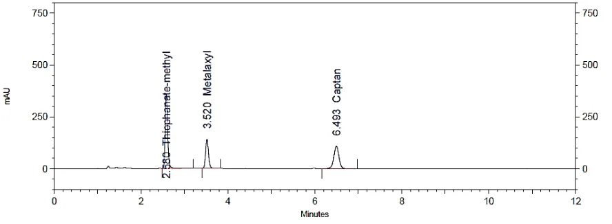 Figure 8. Chromatogram of Sample Preparation 