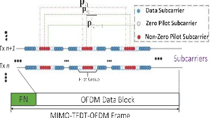 Fig. 1. The MIMO-TFDT-OFDM edge through the PN sequence also pilots. 