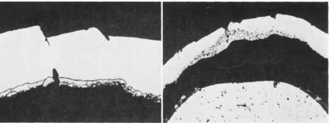 Fig. 7 sheath begun Section through the platinum of a specimen which had just to increase in weight