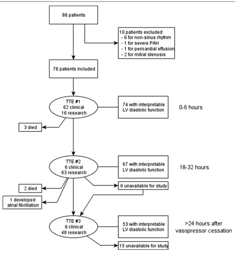 Figure 2 Flow of patients within the study.