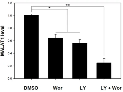 Figure 3. MAPK1 up-regulates the expression of MALAT1. A. The expression of MALAT1 in GSE53091 gene expres-sion microarray data when the samples treated with scramble siRNA and MAPK1 siRNA respectively