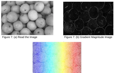 Figure 7: (b) Gradient Magnitude Image 
