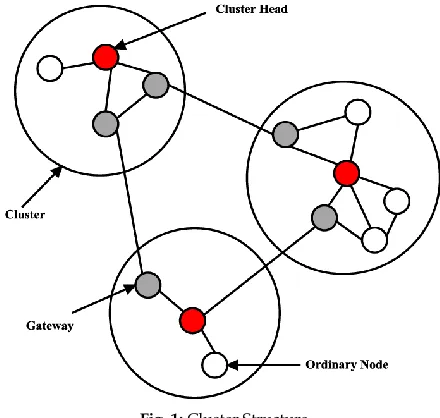 Fig. 1: Cluster Structure 