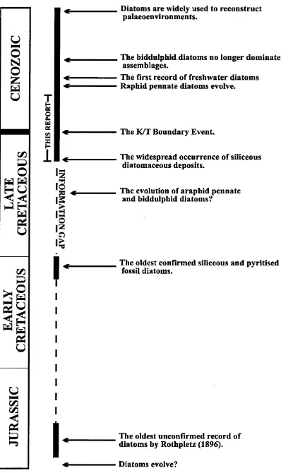 FIGURE 1.5 - A summary of major events in the known history of the diatom group. Note: The time range is not to scale.