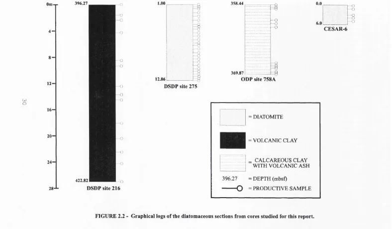 FIGURE 2.2 - Graphical logs of the diatomaceous sections from cores studied for this report.