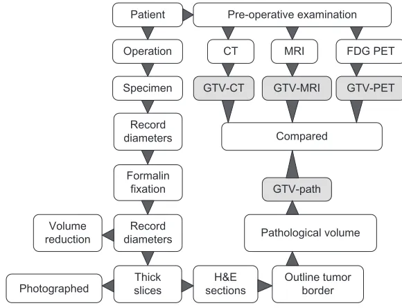 Table 1 Summary on gTVs in patients with cervical cancer for each case