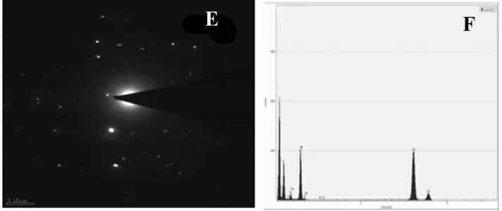 Figure 1. Scanning electron micrographs (SEM)  (A, B) and Transmission electron micrographs  (TEM) of Al2O3 nanoparticles (C, D)