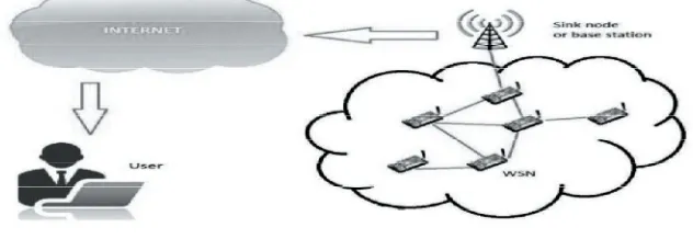 Figure 1: IoT & WSN integration 
