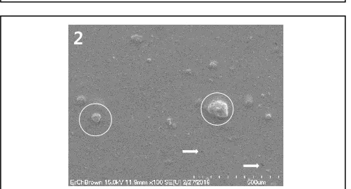 Fig. 3. Scanning electron micrograph of a plate-like substance added to a low priced semi-permanent makeup ink