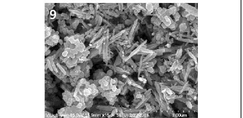 Fig. 5. Scanning electron micrograph of lump material added to  low-cost semi-permanent makeup ink   