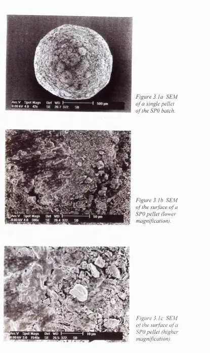 Figure 3.1a SEM 