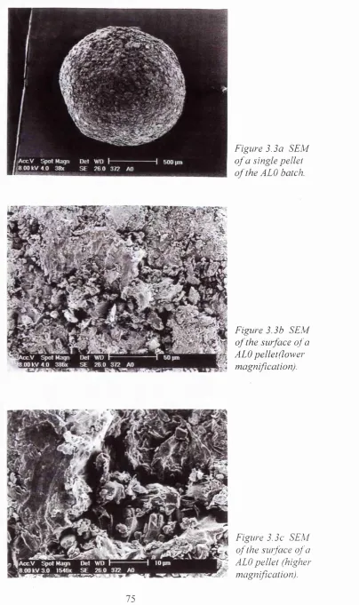 Figure 3.3a SEM 