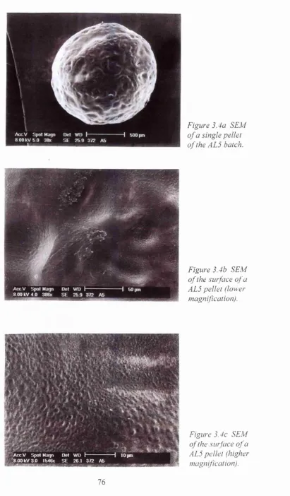 Figure 3.4a SEM 