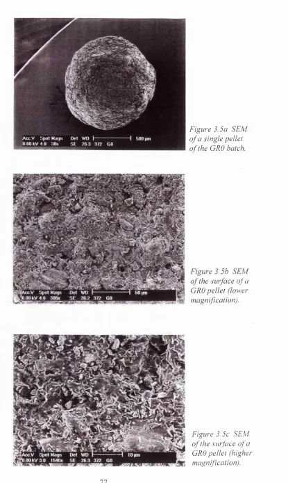 Figure 3.5a SEM 