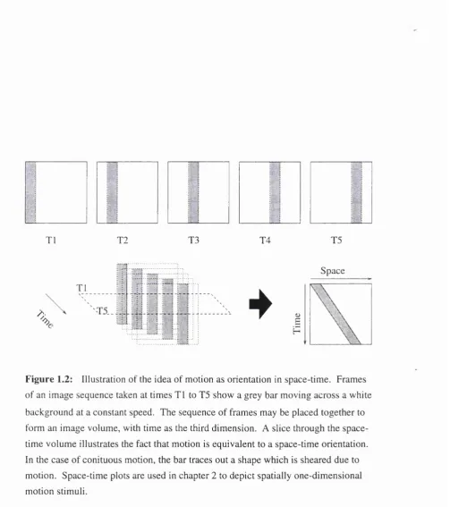 Figure 1.2: Illustration of the idea of motion as orientation in space-time. Frames of an image sequence taken at times T1 to T5 show a grey bar moving across a white form an image volume, with time as the third dimension