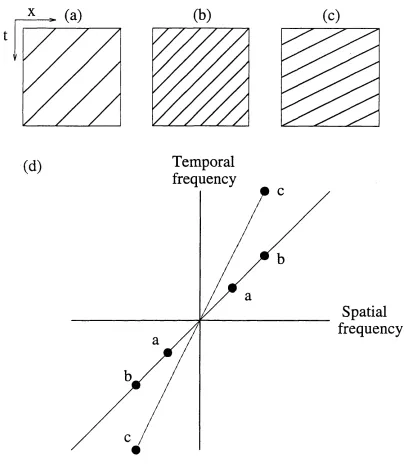 Figure 1.5: In the frequency domain, under translational motion, all the power in an image lies on a plane (in 1-D: line) through the origin, (a) Space-time plot of a 1-D image sequence in which a set of black stripes move to the left over time at constant