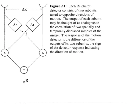 Figure 2.1: Each Reichardt 