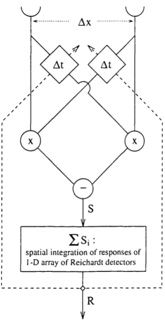 Figure 2.2 Schematic diagram of adaptive Reichardt detector model. The locally integrated response of a 1-D array of Reichardt detectors is fed back to adapt the delay filters.