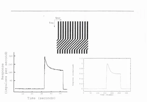 Figure 2.4 (Top) Space-time plot of the onset, maintenance and offset of a sine grating damping parameter, p, of 0.015, as defined in equation 3