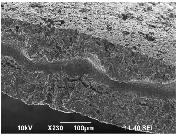 Figure 4.10: Micrograph showing the morphology of the carbon electrode and electrolyte active