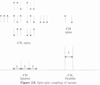 Figure 2.8. Spin-spin coupling of lactate