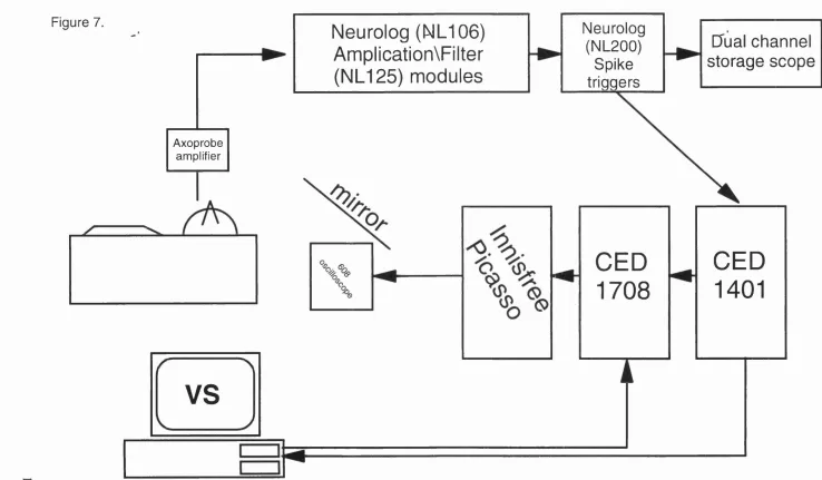 Figure 7.Neurolog (NL106) Neurolog