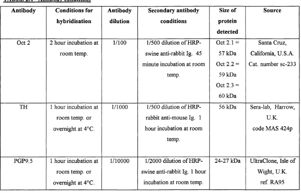 TABLE 2.4 - Antibody conditions