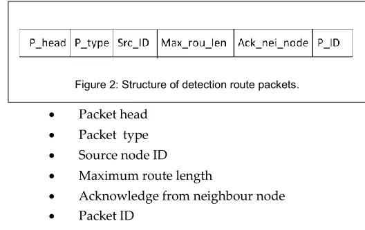 Figure 2: Structure of detection route packets. 
