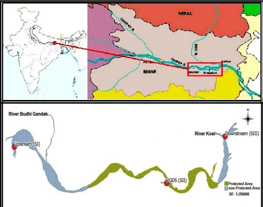 Figure -1:  Location map of sampling points in the lower stretch of river Ganga in Bihar 