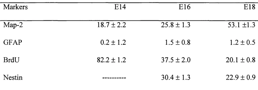 Table 7. Antigen expression in cortical cells in vitro