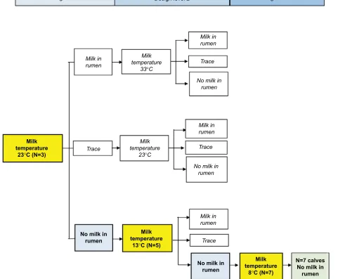 Figure 2 The obtained RSP pathway for the milk in rumen category (blue) based on milk temperature in °C (yellow) for both small and large bottle teats.Abbreviation: RSP, response surface pathway.