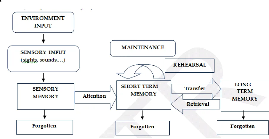 Figure 1).  